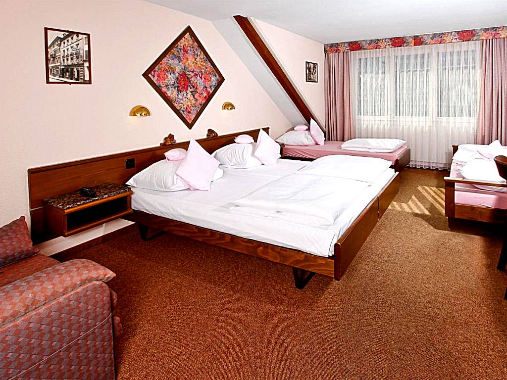BASLERTOR Summer Pool Hotel: Quadruple Room (Luzern) 