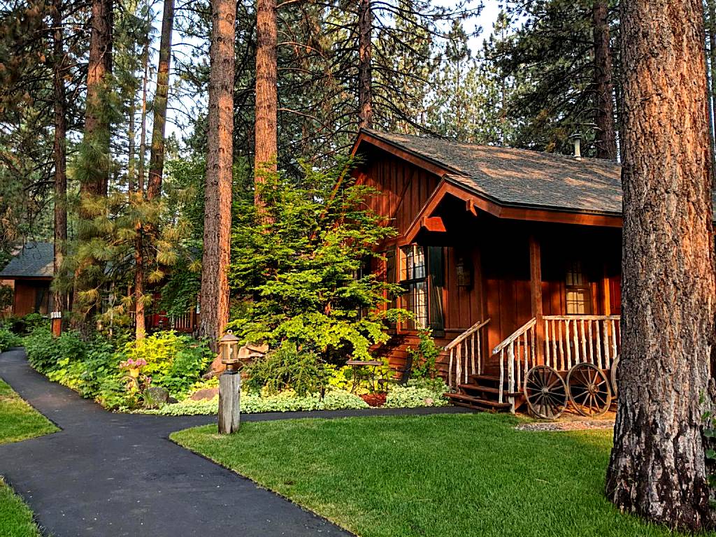 Black Bear Lodge: King Studio Cottage (South Lake Tahoe) 