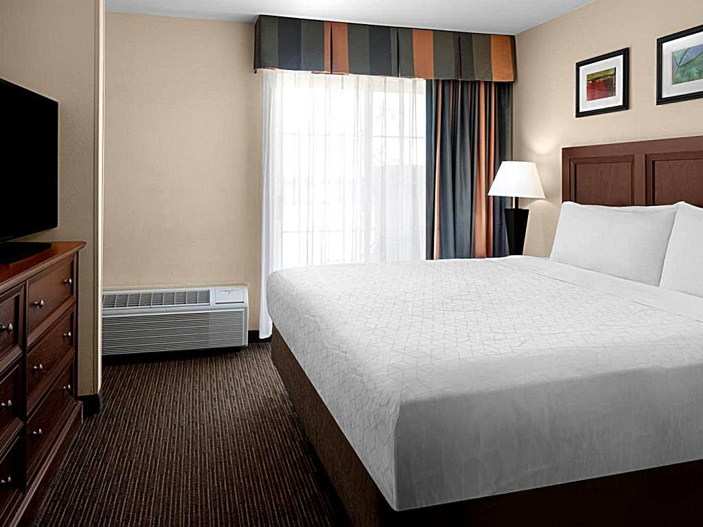Holiday Inn Express Hotel & Suites Scottsdale - Old Town: King Suite