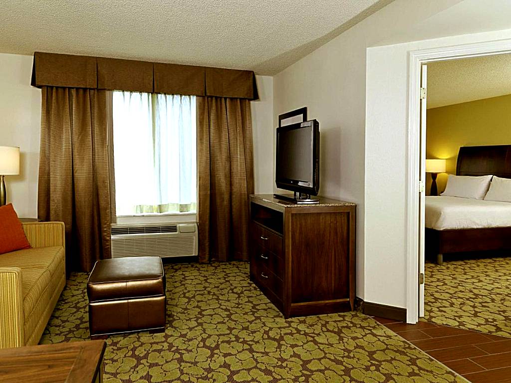 Hilton Garden Inn Tampa East Brandon: One-Bedroom Suite with Spa Bath